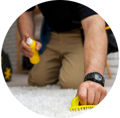 Carpet cleaning by perfectclening.lk